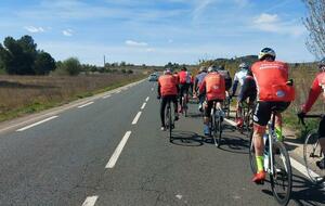 LES PREMIERES FLEURS DU PRINTEMPS 2023