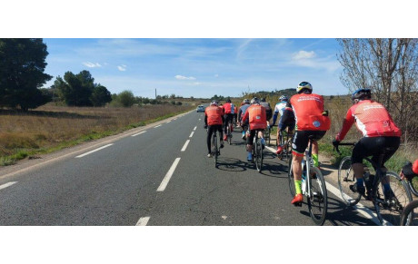 LES PREMIERES FLEURS DU PRINTEMPS 2023