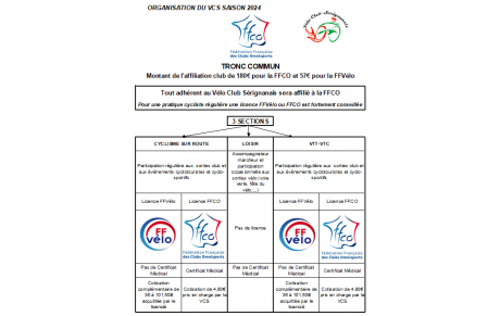 ARCHITECTURE DU VCS